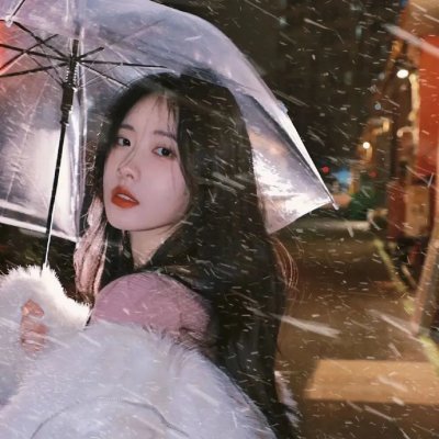 切斯纳特：中央公园的英雄